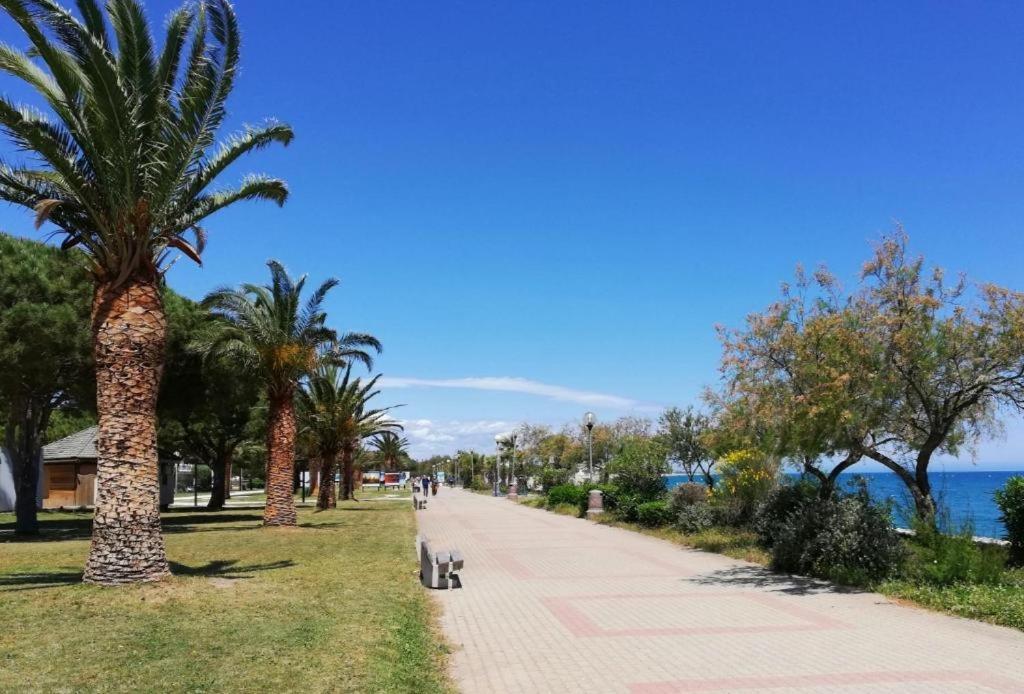 Joli Studio Cabine 4 Personnes A 300 M De La Plage Argelès-sur-Mer Esterno foto