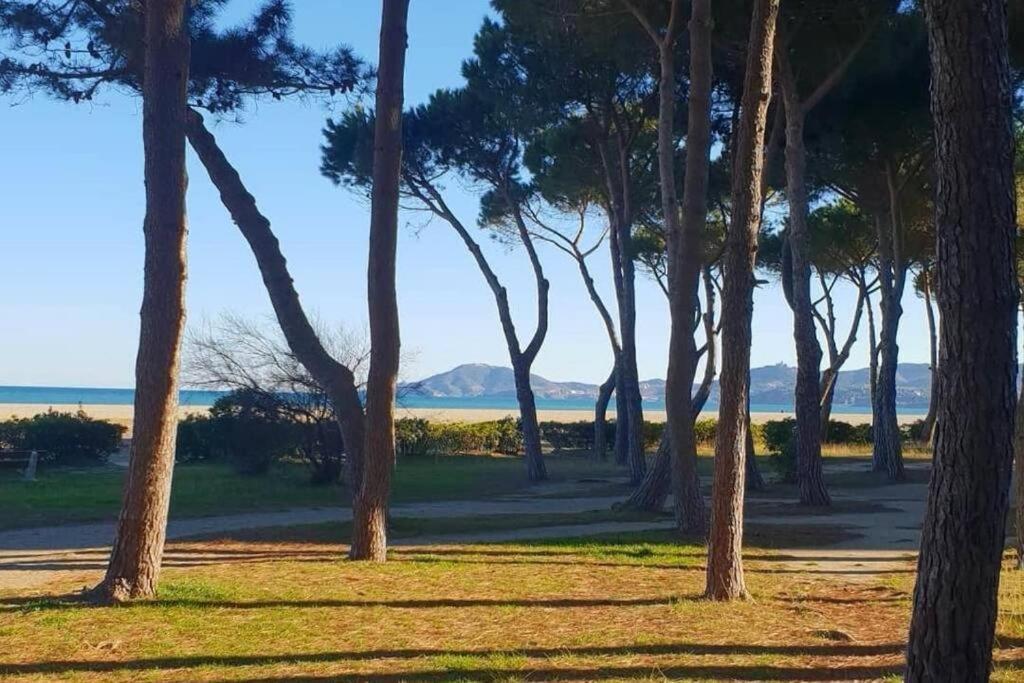 Joli Studio Cabine 4 Personnes A 300 M De La Plage Argelès-sur-Mer Esterno foto